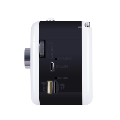 Радиоприёмник DEFENDER Signal 5Вт FM/AM/SW/BT/USB/TF/1200мАч, черно-белый (1/27)